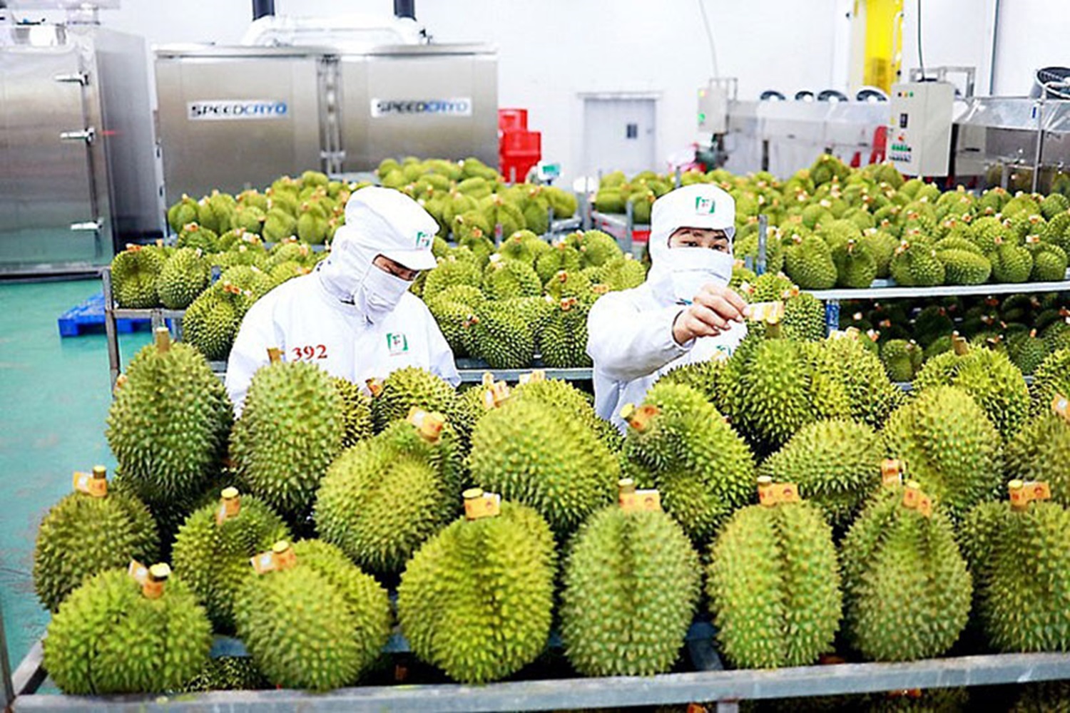 Chứng Nhận &amp; Chứng Chỉ