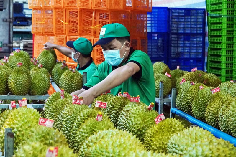 Chứng Nhận &amp; Chứng Chỉ