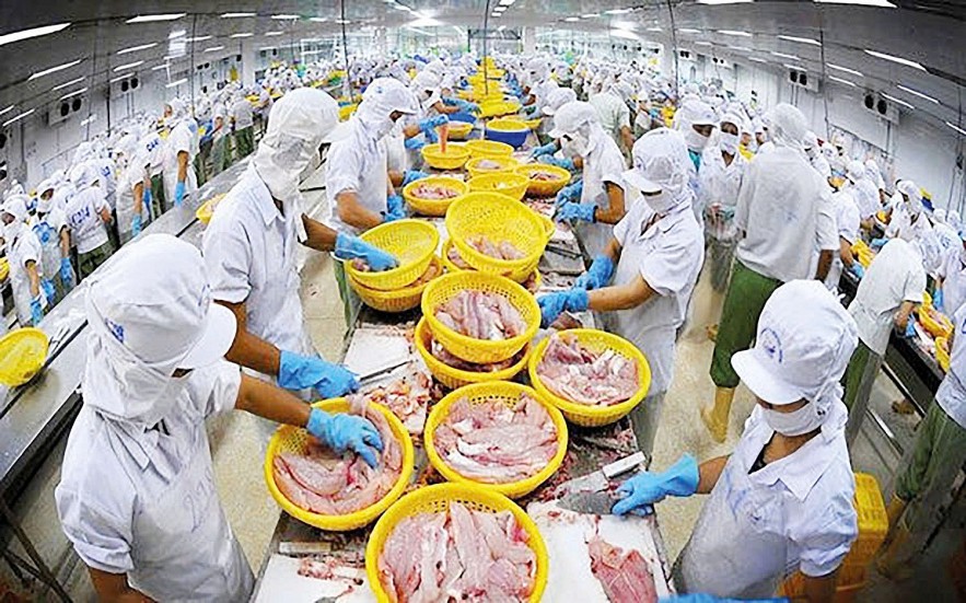 Chứng Nhận &amp; Chứng Chỉ